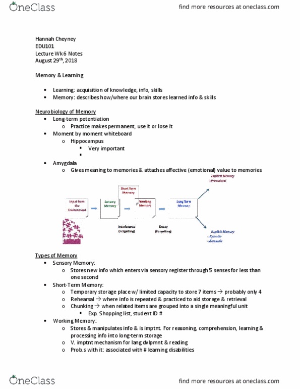 EDU101 Lecture Notes - Lecture 6: Shopping List, Whiteboard, Episodic Memory thumbnail