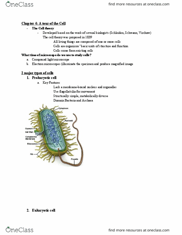 BIO 101 Lecture Notes - Lecture 4: Cell Membrane, Prokaryote, Cell Theory thumbnail