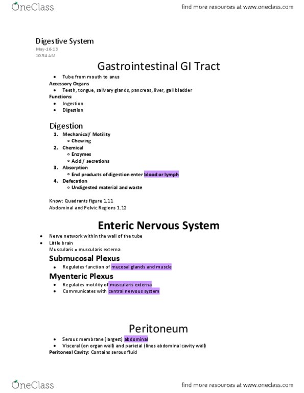 BIOL 1410 Lecture Notes - Muscular Layer, Muscularis Mucosae, Tunica Externa thumbnail