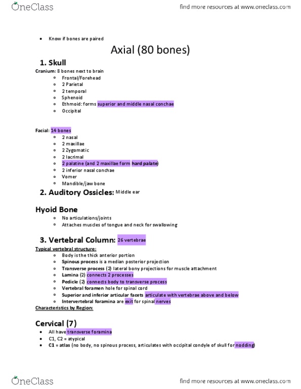 BIOL 1410 Lecture Notes - Inferior Nasal Concha, Occipital Condyle, Lumbar Vertebrae thumbnail