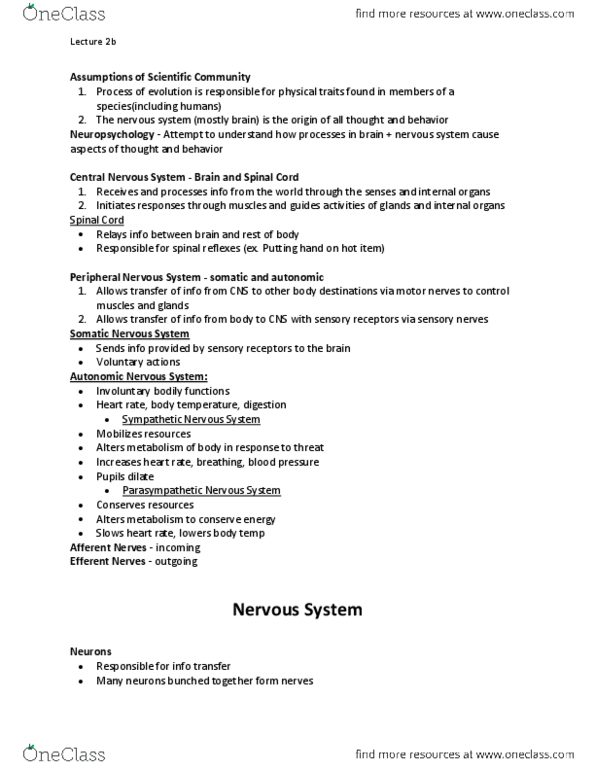 PSYC 1200 Lecture Notes - Autonomic Nervous System, Peripheral Nervous System, Reticular Formation thumbnail