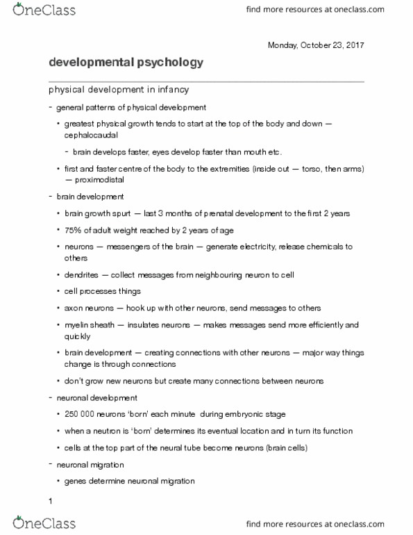Psychology 2040 Lecture 5: developmental psychology 5 thumbnail