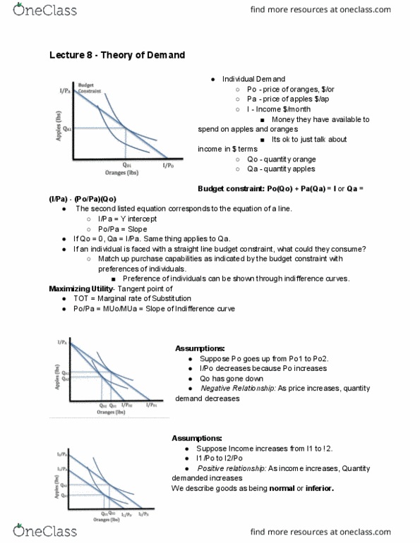 ECON 1011 Lecture Notes - Lecture 8: Budget Constraint, Indifference Curve thumbnail