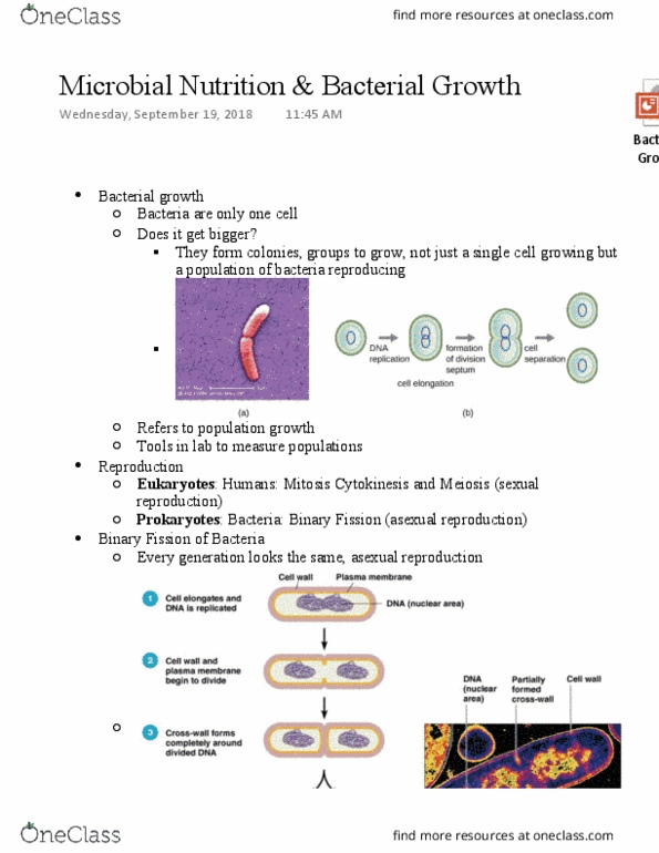 BIOS 2210 Lecture 4: Microbial Nutrition & Bacterial Growth thumbnail