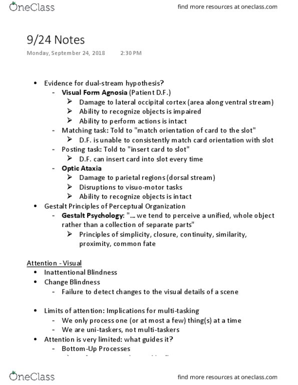 PSYC 1100 Lecture Notes - Lecture 8: Two-Streams Hypothesis, Gestalt Psychology, Occipital Lobe cover image