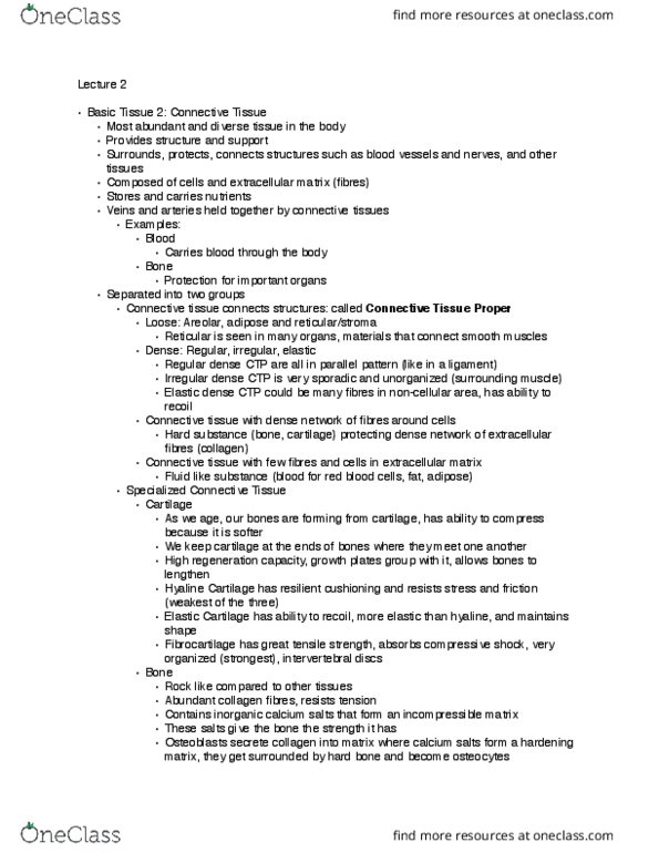 Kinesiology 2222A/B Lecture Notes - Lecture 2: Ultimate Tensile Strength, Hyaline, Connective Tissue thumbnail