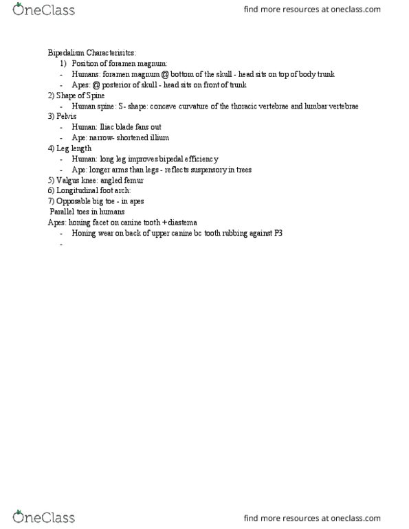 ANTH 1 Chapter Notes - Chapter 10: Foramen Magnum, Canine Tooth, Iliac Crest thumbnail