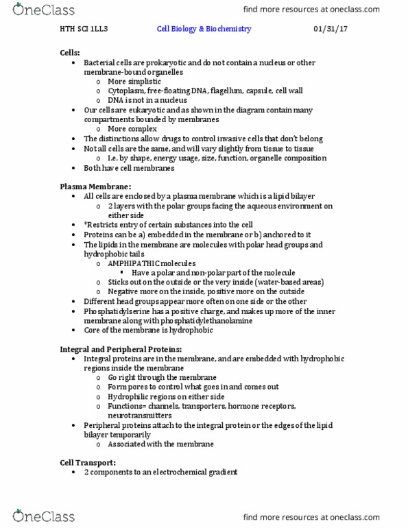 HTHSCI 1LL3 Lecture Notes - Lecture 7: Lipid Bilayer, Electrochemical Gradient, Cell Membrane thumbnail