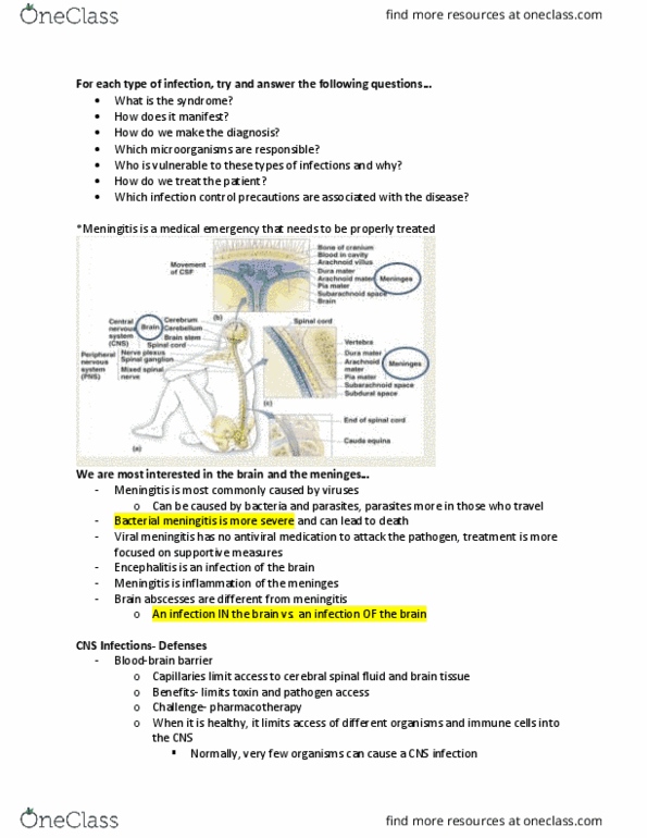 HTHSCI 2HH3 Lecture Notes - Lecture 4: Viral Meningitis, Aseptic Meningitis, Meningitis thumbnail