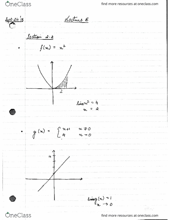 MAT135Y5 Lecture 6: MAT135Y5 LECTURE 6 LIMITS cover image