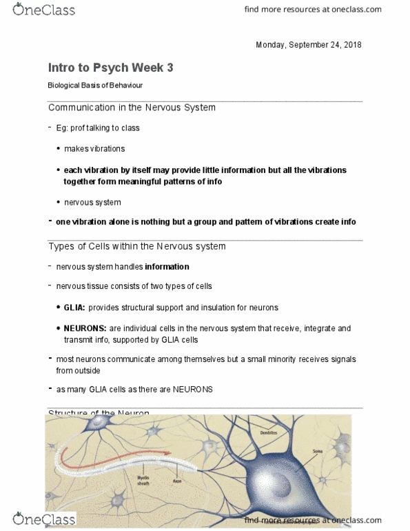 PSYC 1010 Lecture Notes - Lecture 3: Myelin, Nicotine, Electroencephalography cover image