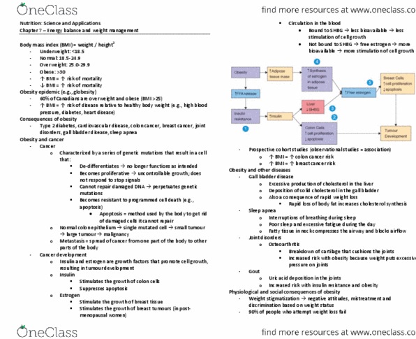 NFS284H1 Lecture Notes - Gallstone, Calorimeter, Lean Body Mass thumbnail