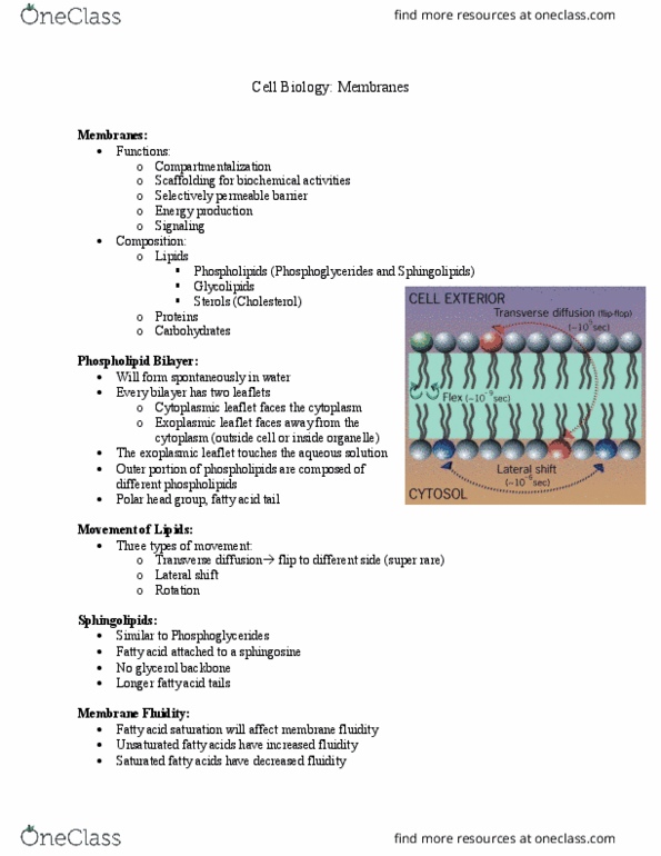 BIOL 2020 Lecture Notes - Lecture 3: Cell Membrane, Sphingosine, Glycolipid thumbnail