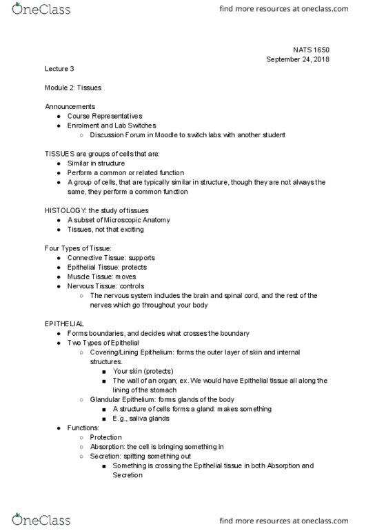 NATS 1650 Lecture Notes - Lecture 3: Moodle, Microvillus, Hyaline thumbnail