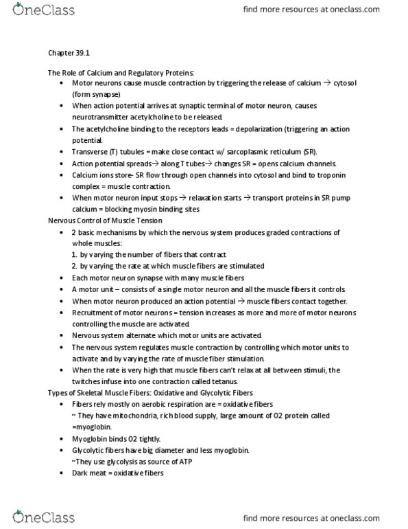 BIO 151 Chapter Notes - Chapter 39: Endoplasmic Reticulum, Myocyte, Motor Neuron thumbnail