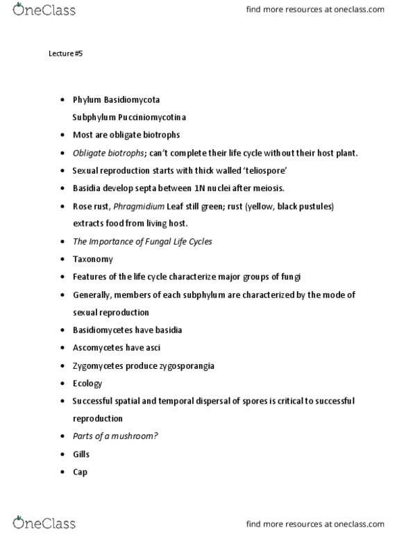 BIOL 209 Lecture Notes - Lecture 5: Phaeocollybia, Pucciniomycotina, Basidium thumbnail