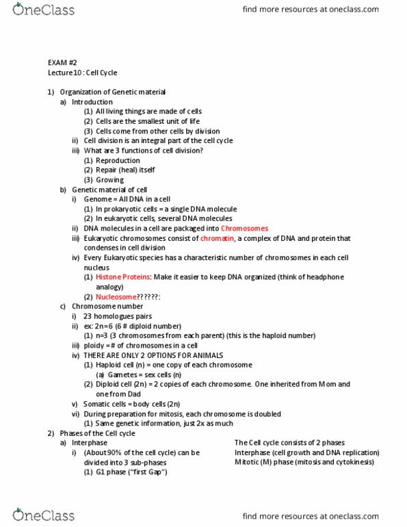 01:119:115 Lecture Notes - Lecture 11: G1 Phase, Cell Cycle, Characteristic Class thumbnail