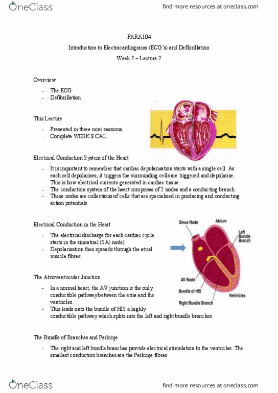PARA104 Lecture Notes - Lecture 7: Depolarization, Defibrillation, Electrocardiography thumbnail