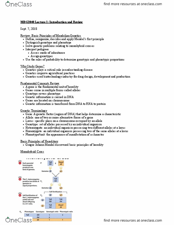 MBG 2040 Lecture Notes - Lecture 1: Mendelian Inheritance, Drug Design, Zygosity thumbnail