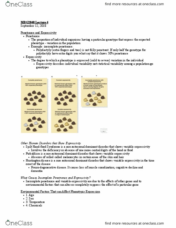 MBG 2040 Lecture Notes - Lecture 4: Neurodegeneration, Piebaldism, Statistical Dispersion thumbnail