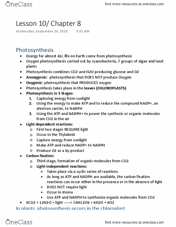 BIOL 1105 Chapter Notes - Chapter 8: Thylakoid, Carbon Fixation, Lipid Bilayer thumbnail