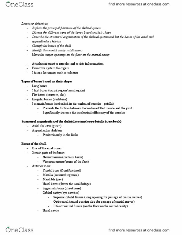 CAPS 391 Lecture Notes - Lecture 2: Inferior Orbital Fissure, Superior Orbital Fissure, Appendicular Skeleton thumbnail