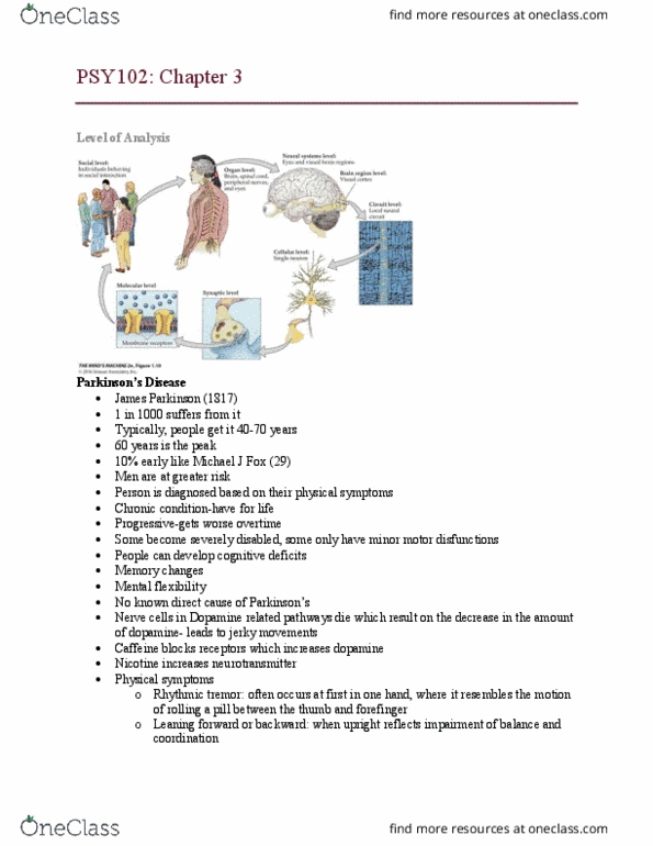 PSY 102 Lecture Notes - Lecture 3: Neuroglia, Synaptic Vesicle, Motor Neuron thumbnail