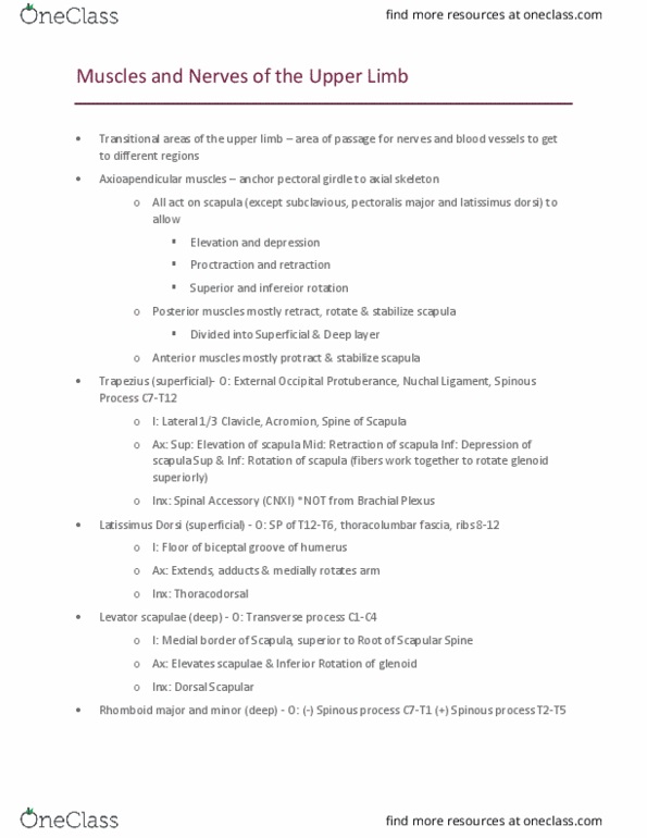 Kinesiology 2222A/B Lecture Notes - Lecture 5: Latissimus Dorsi Muscle, Levator Scapulae Muscle, Shoulder Girdle thumbnail