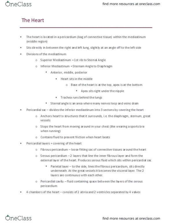 Kinesiology 2222A/B Lecture Notes - Lecture 3: Pericardium, Mediastinum, Sternal Angle thumbnail