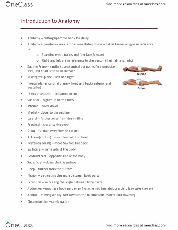 Kinesiology 2222A/B Lecture Notes - Lecture 1: Coronal Plane, Transverse Plane, Standard Anatomical Position thumbnail