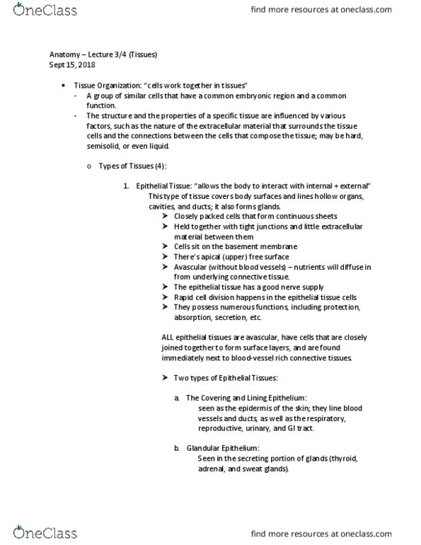 ANAT 1010 Chapter Notes - Chapter 3: Sweat Gland, Tight Junction, Cell Junction thumbnail