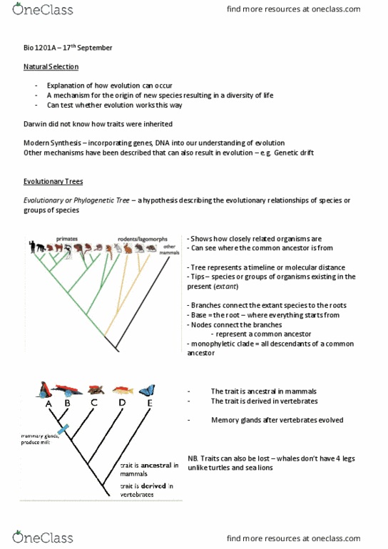 Biology 1201A Lecture 3: Bio 1201A - 17th September Lecture Notes (Vera Tai) thumbnail