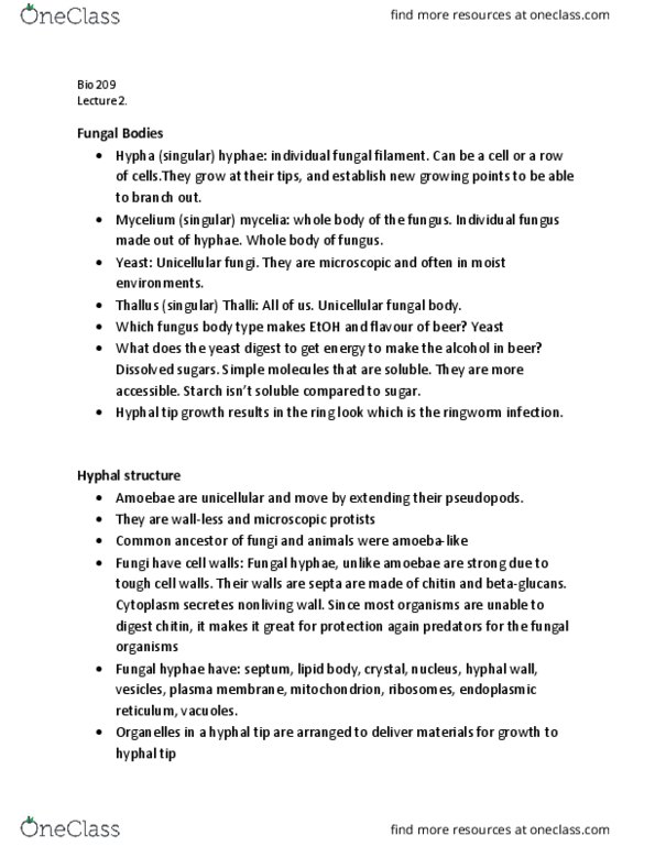 BIOL 209 Chapter Notes - Chapter 2: Endoplasmic Reticulum, Mycelium, Chitin thumbnail