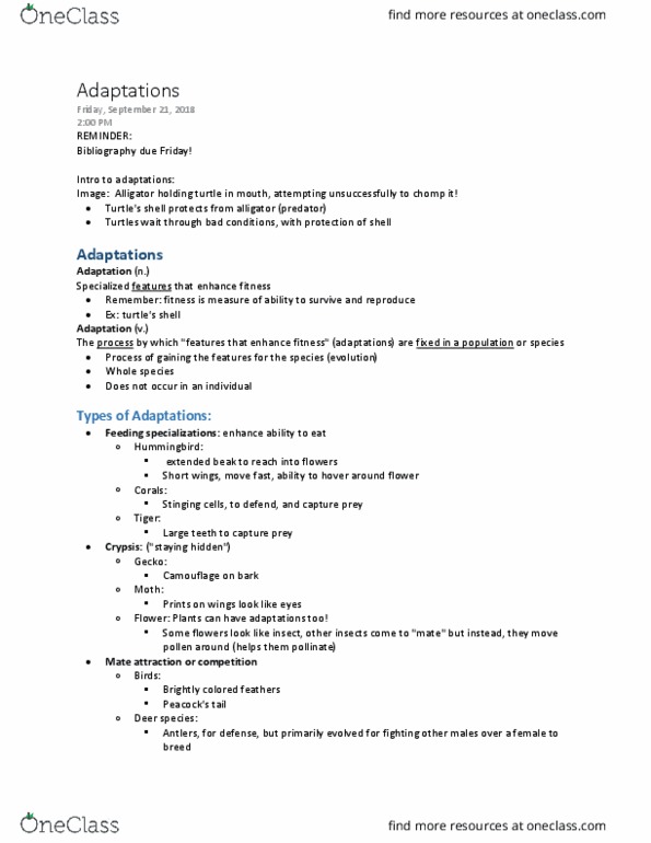 BIOLOGY 1114 Lecture Notes - Lecture 16: Turtle Shell, Rafflesia, Crypsis thumbnail