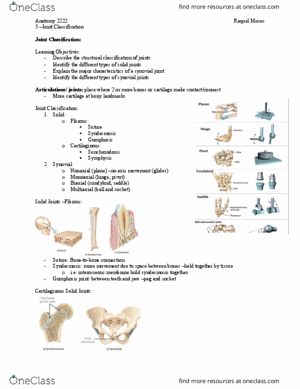 Kinesiology 2222A/B Lecture Notes - Lecture 5: Synovial Joint, Hinge Joint, Pivot Joint thumbnail