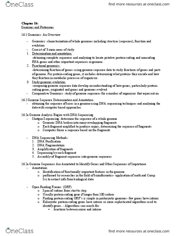 Biology 1201A Chapter Notes - Chapter 16: Non-Coding Rna, Functional Genomics, Intron thumbnail