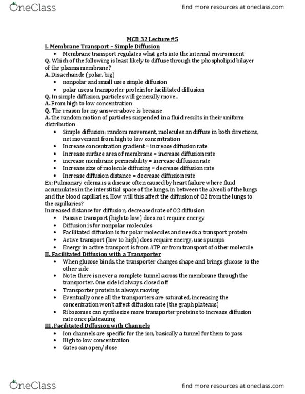 MCELLBI 32 Lecture Notes - Lecture 5: Pulmonary Edema, Facilitated Diffusion, Lipid Bilayer thumbnail