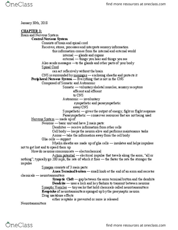 PSYCH 2010 Lecture Notes - Lecture 10: Twin, Peripheral Nervous System, Axon Terminal thumbnail