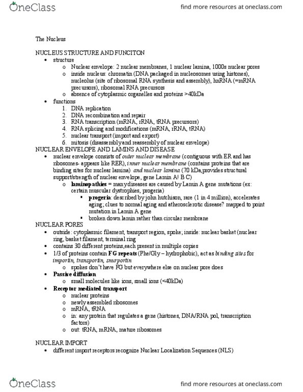 BICD 110 Lecture Notes - Lecture 9: Nuclear Lamina, Nuclear Membrane, Nuclear Pore thumbnail