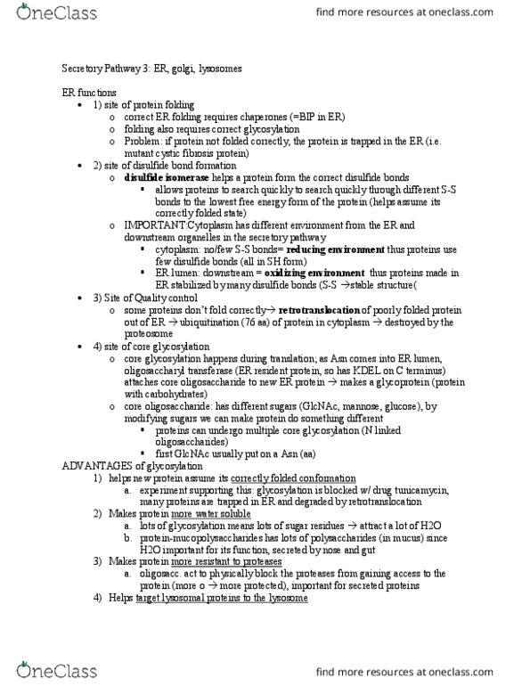 BICD 110 Lecture Notes - Lecture 8: Oligosaccharyltransferase, Disulfide, Secretion thumbnail