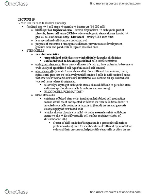 BICD 110 Lecture Notes - Lecture 19: Adult Stem Cell, Embryonic Stem Cell, Inner Cell Mass thumbnail