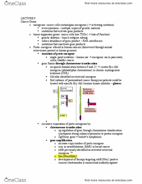 BICD 110 Lecture Notes - Lecture 9: Chronic Myelogenous Leukemia, Tyrosine-Kinase Inhibitor, Chromosomal Translocation thumbnail