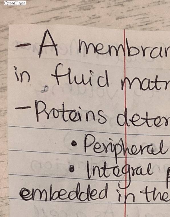 BIOL 1020 Lecture 10: Fluid Mosaic Model of cell membranes (2) cover image