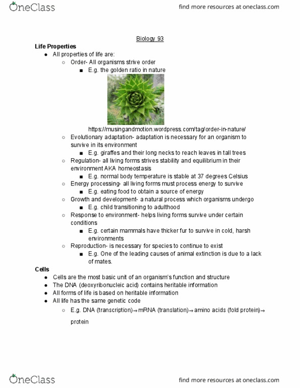 BIO SCI 93 Lecture Notes - Lecture 1: Golden Ratio, Homeostasis cover image