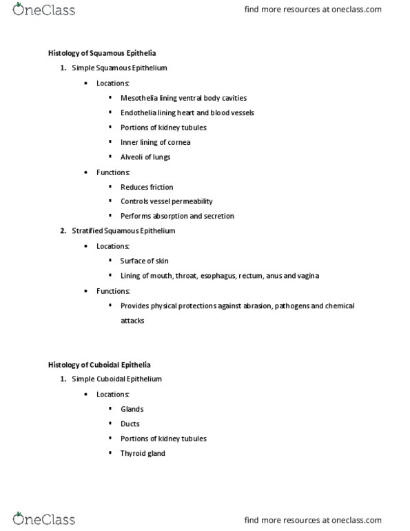 BIOB33H3 Lecture Notes - Lecture 2: Nephron, Thyroid, Histology thumbnail