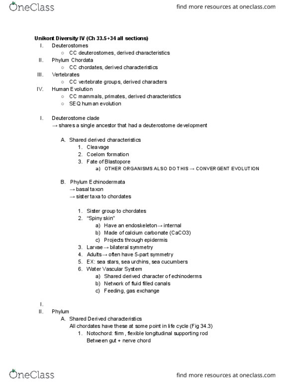 01:119:116 Lecture Notes - Lecture 7: Symmetry In Biology, Deuterostome, Chordate thumbnail