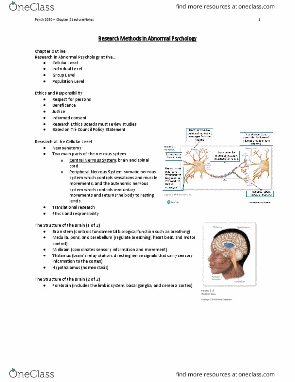 Psychology 2030A/B Lecture Notes - Lecture 2: Somatic Nervous System, Peripheral Nervous System, Autonomic Nervous System thumbnail