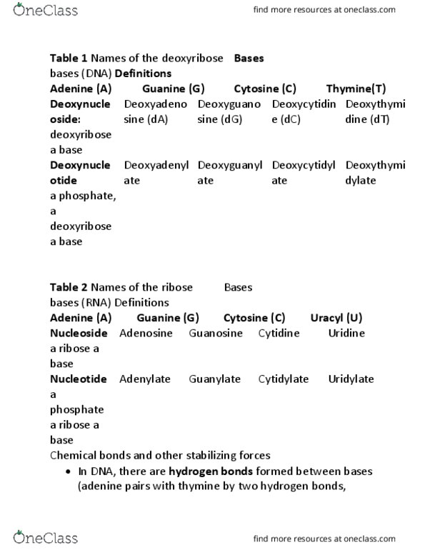 BIO206H5 Lecture Notes - Lecture 3: Uridine, Cytidine, Guanosine thumbnail