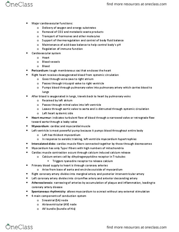 HHP 3400 Chapter Notes - Chapter 6: Posterior Interventricular Artery, Left Coronary Artery, Coronary Artery Disease thumbnail