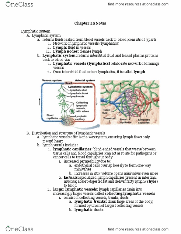 BIO106 Lecture Notes - Lecture 6: Lymphatic Vessel, Extracellular Fluid, Gastrointestinal Tract thumbnail